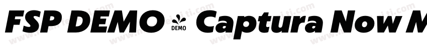 FSP DEMO - Captura Now Medium字体转换